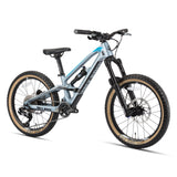 20" Master S  (carbon frame)