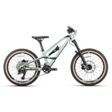 20" Master S  (carbon frame)